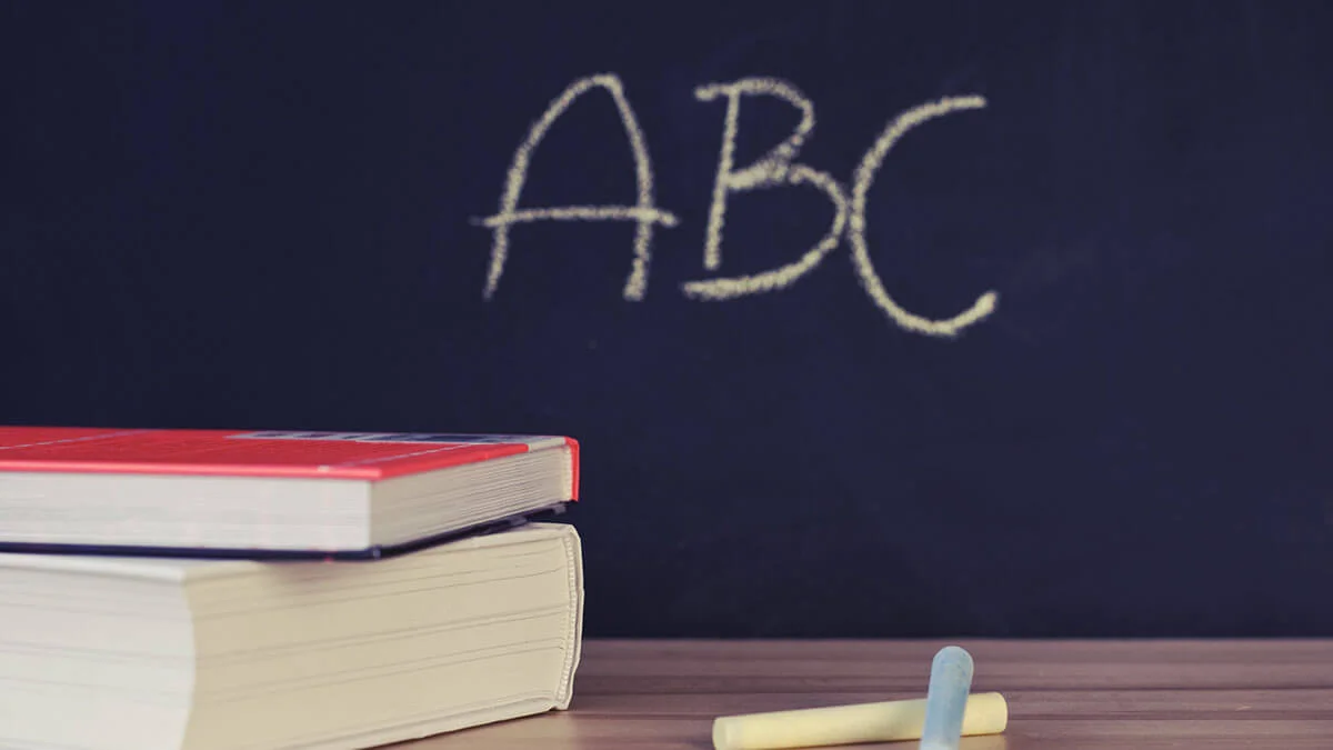 School Information Management Systems in primary schools